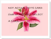 Note Card - random style chosen by our staff